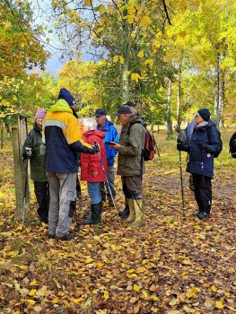 241011 Vandring på Femöre