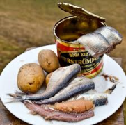 Surströmming 18/8