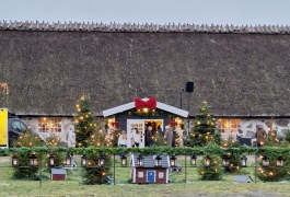 Julmarknad i Sölvesborg