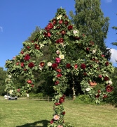 Sommarhälsning