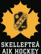 Hockeykväll 17/1