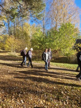 241017 Vandring runt Stavsjön
