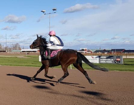 Gunnes väskor, Mantorps travbana och glasbruk 20181025