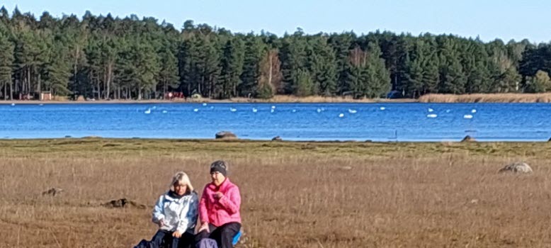 Vandring vid Strandstuviken