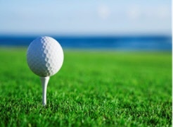 Inbjudan till Elinmästerskap i golf 2026