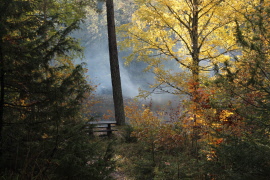 Program hösten 2025