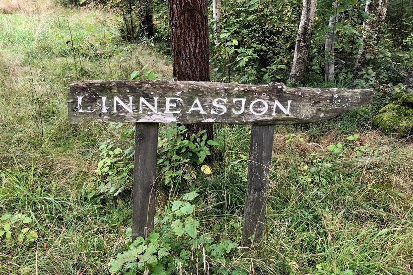 Den 9 september gick promenaden till Linnéasjön