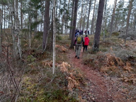 220408 Vandring runt sjön Skiren.