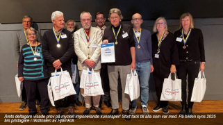 Förbundsmästerskapet i Hjärnkoll 2025 avgjort.