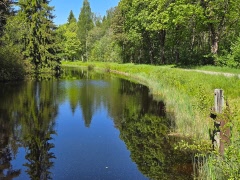 Naturspan 25 juni update