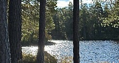 Vandring Ryttargärdet onsdagen den 15 april.