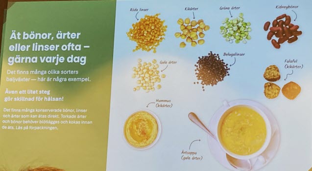 20251015 Inspirationsdagen