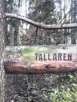 Vandring vid Strandstuviken