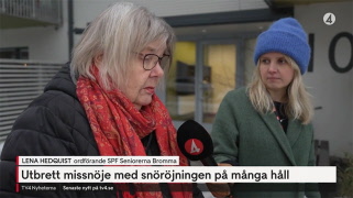 Lena Hedquist i SVT och TV4: Dålig snöröjning tvingar äldre till husarrest