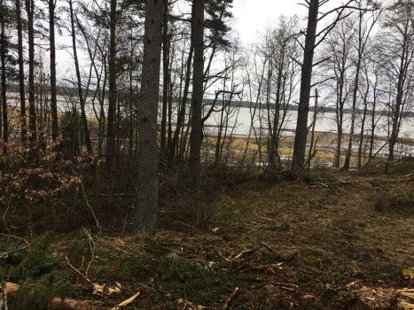 230414 Vandring vid Strandstuviken