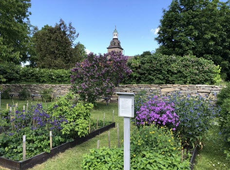 Vreta kloster sommarbilder