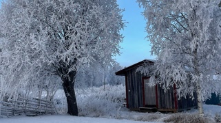 Välkommen till vår gemenskap!