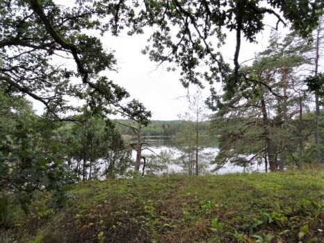 Vandring runt Ågelsjön
