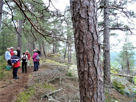 Vandring runt Ågelsjön