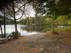 Torsdagen den 4 mars blir det promenad i Bastasjö