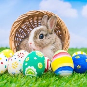 SPF Näset Önnered önskar Glad Påsk