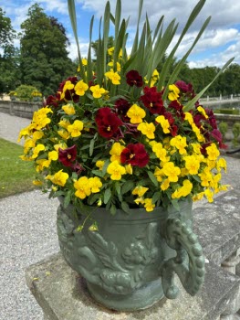 Drottningholm 2 juni