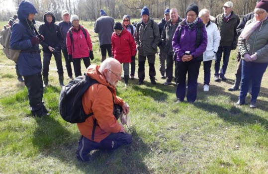 210507 Labro ängar vandring
